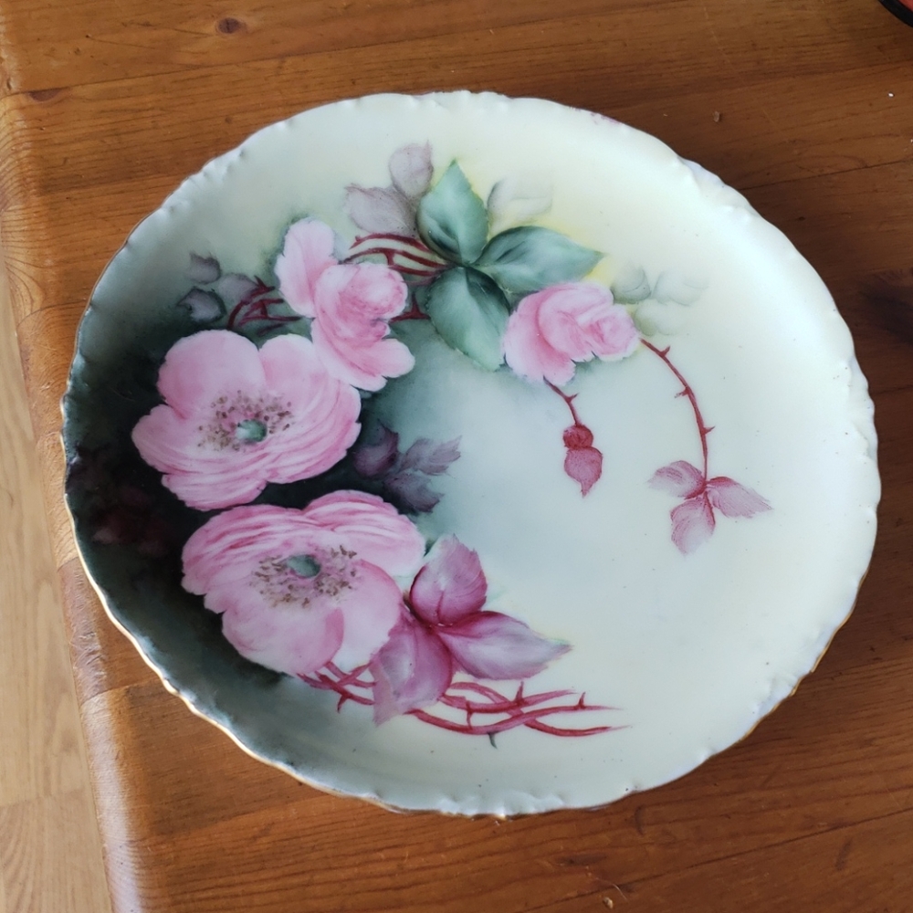 Bavaria Handpainted Porcelain Dogwood Motif Antiqu